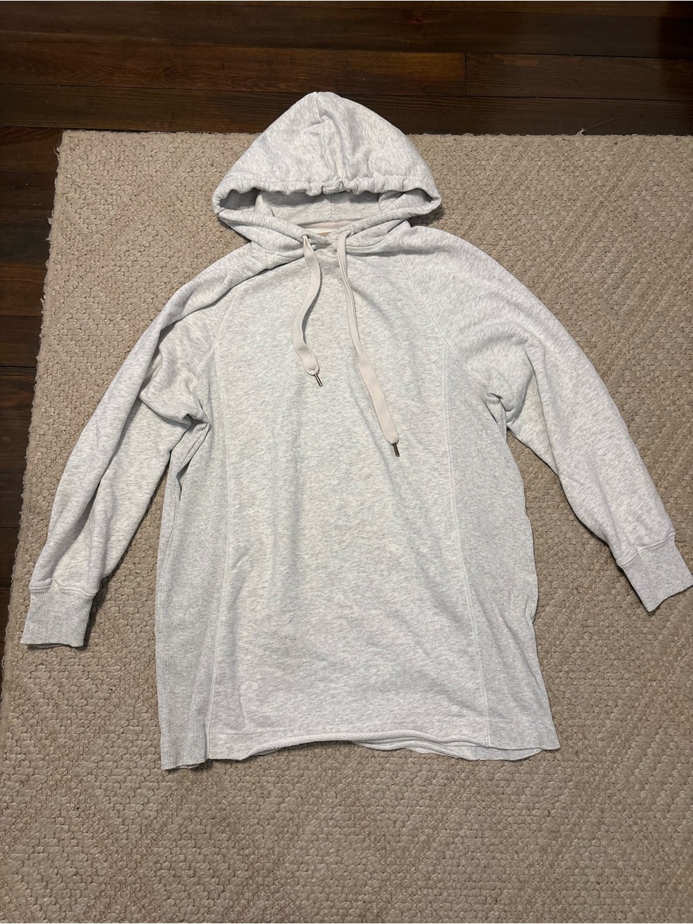 American Eagle Outfitters Light Gray Hooded Sweatshirt